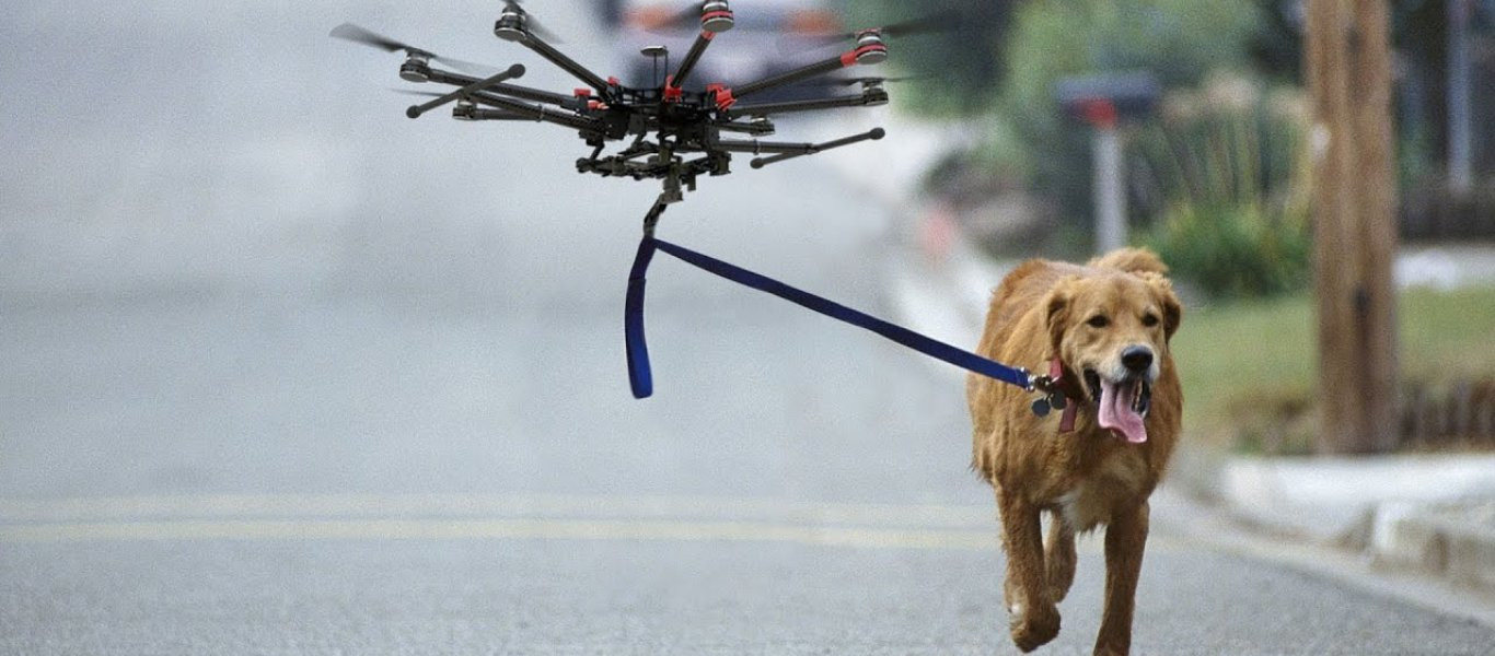 Σκύλοι εναντίον drones σε ένα συναρπαστικό βίντεο!